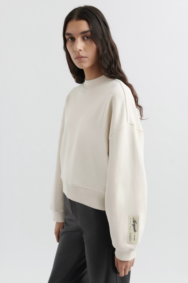 Axel Arigato Bleg Beige Solid Sweatshirt